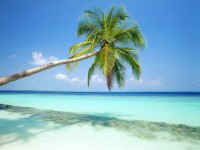 /album/forex-motivacia/forex-motivacia-2-jpg/